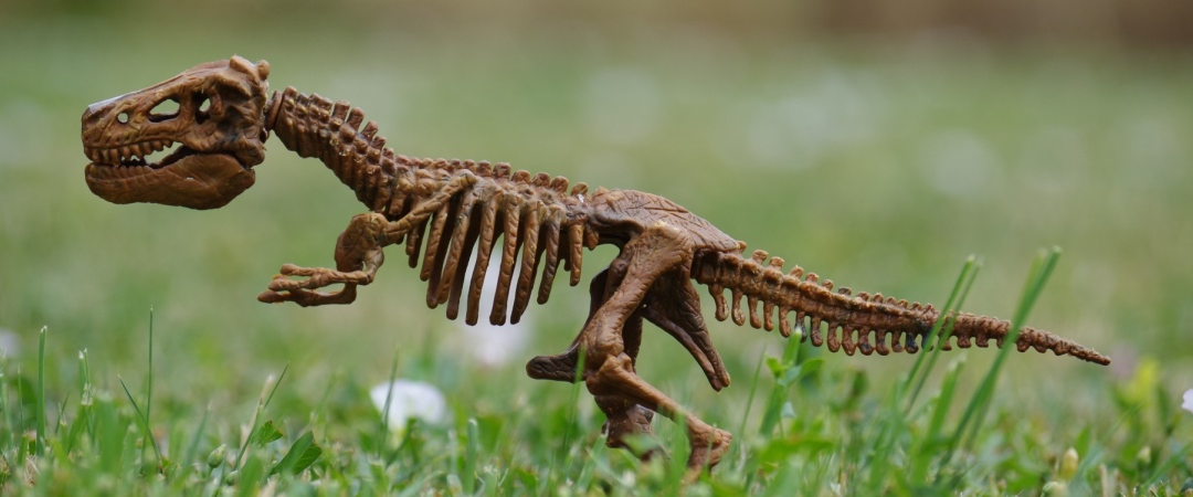 Mesozoic Era – The Rise Of Dinosaurs