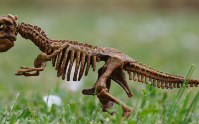 Mesozoic Era – The Rise Of Dinosaurs